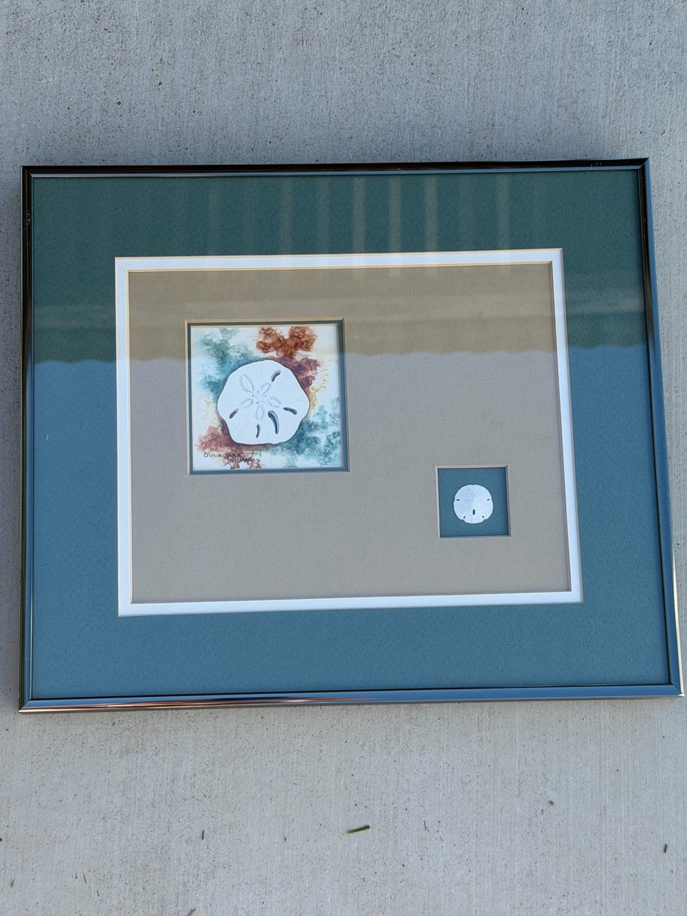 Vintage Coastal sand dollar, shell shadow box watercolor professionally framed